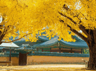 韩国外贸数据,外贸数据,PA真人国际外贸数据 韩国外贸数据,外贸数据,PA真人国际外贸数据